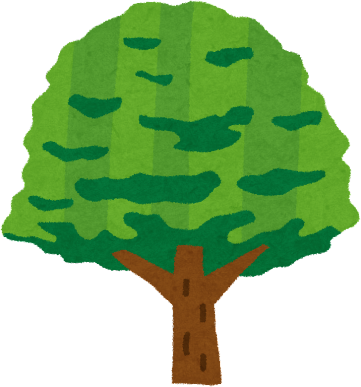 Hand-Drawn Zelkova Tree Illustration